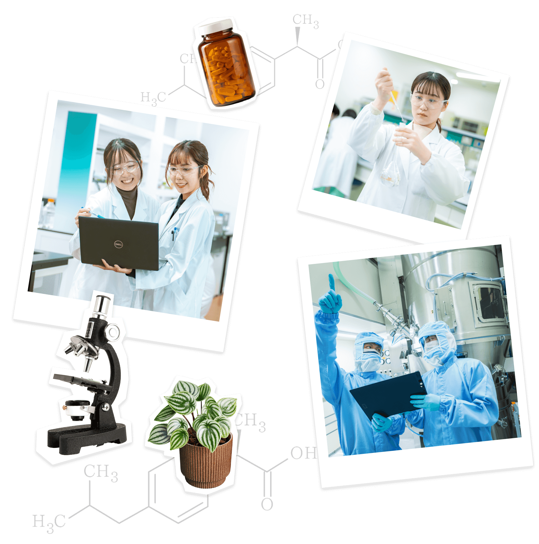 あなたの手が、医薬品の未来をつくる。